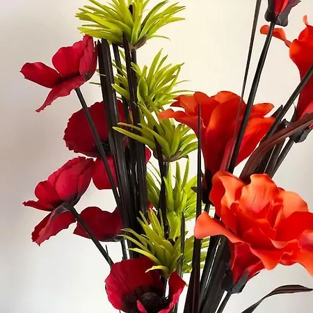 Appartamento Beautiful With Shared Pool,vila Da