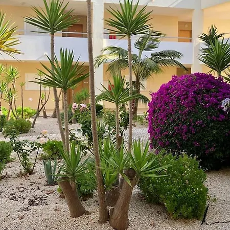 Beautiful With Shared Pool,vila Da * אלבור