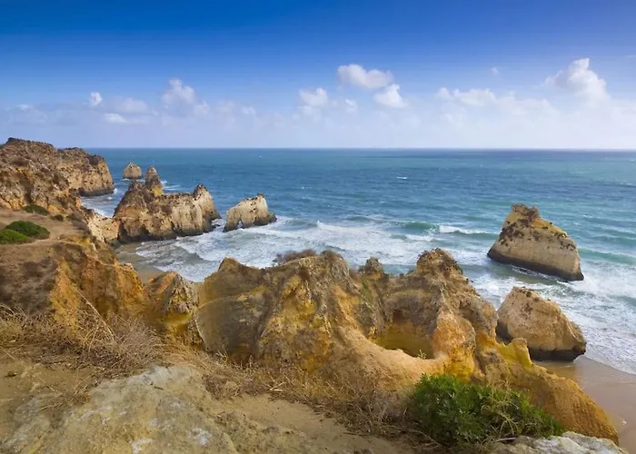 Beautiful With Shared Pool,vila Da דירה אלבור